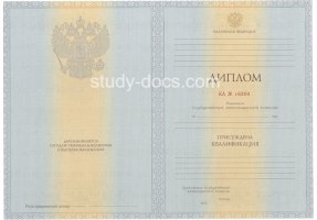 Диплом специалиста 2012-2013 в Набережных Челнах