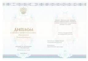 Диплом техникума 2014-2020 в Набережных Челнах
